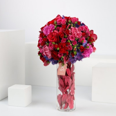 10 Fuchsia Roses & Baby Roses | Cylinder
