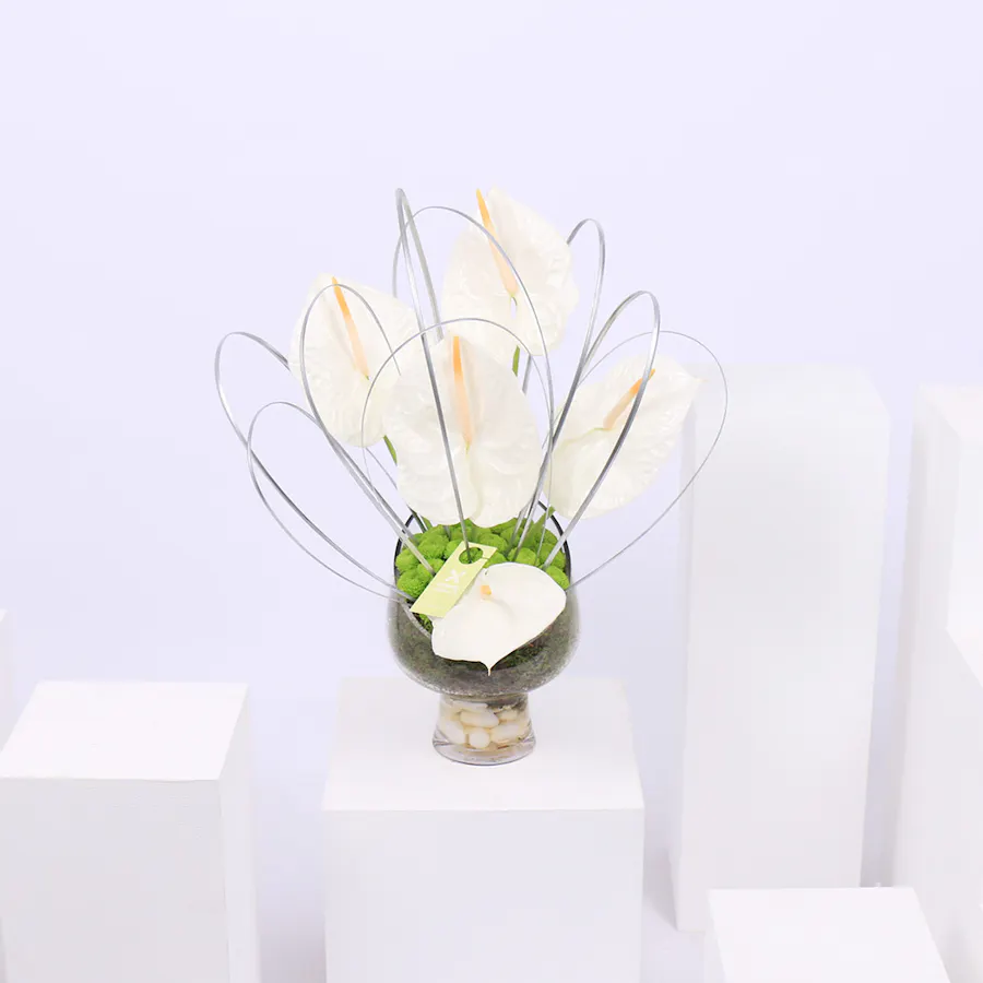 Spring of Anthurium | Glass Vase 1