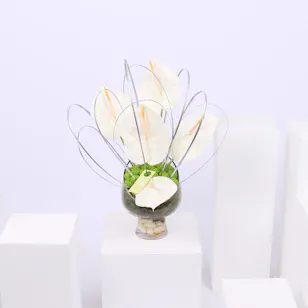 Spring of Anthurium | Glass Vase
