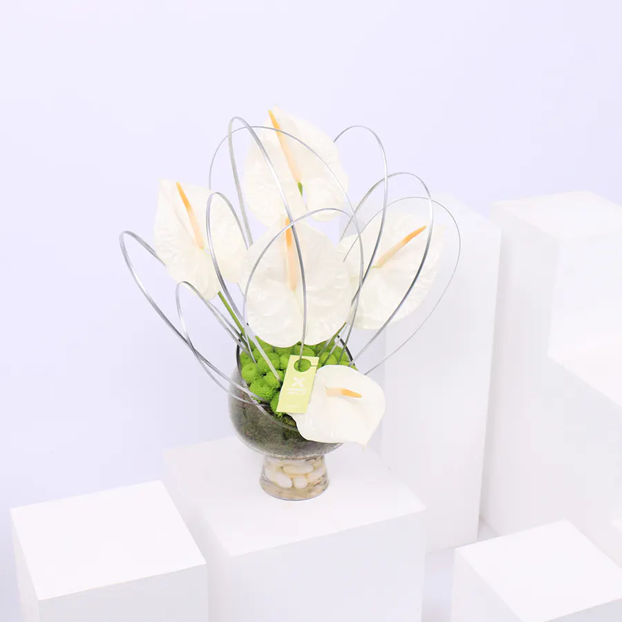 Spring of Anthurium | Glass Vase 2