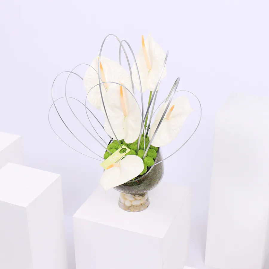 Spring of Anthurium | Glass Vase 3