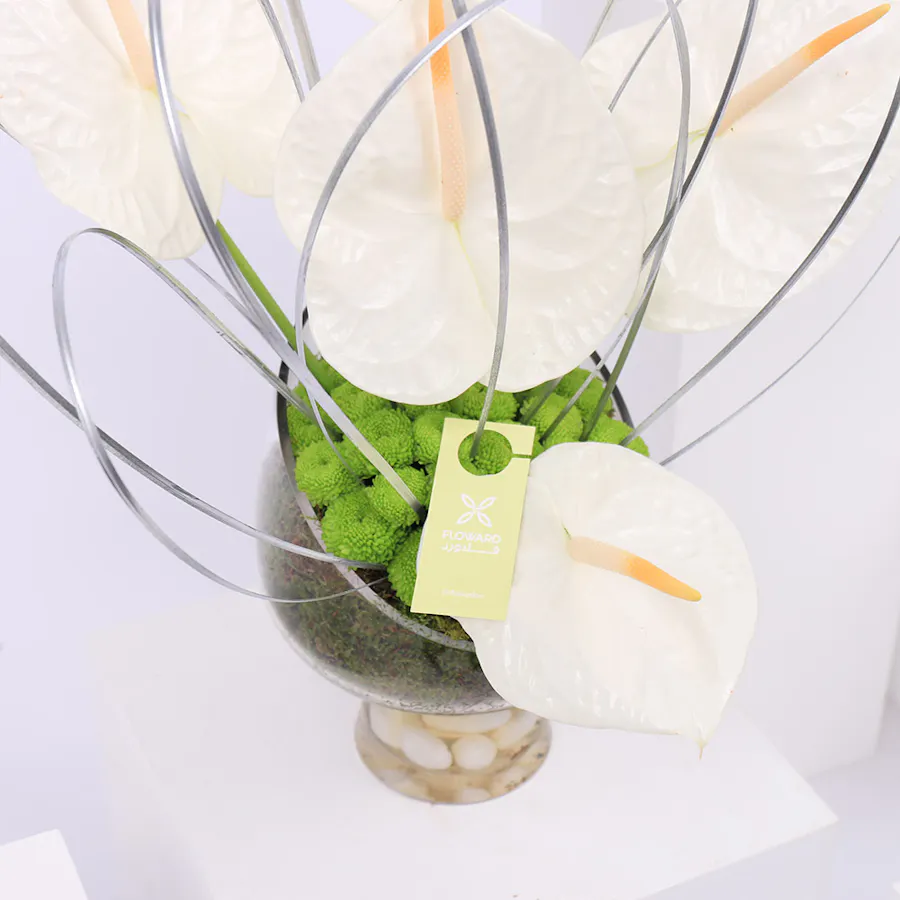 Spring of Anthurium | Glass Vase 4