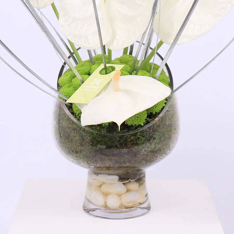 Spring of Anthurium | Glass Vase 5