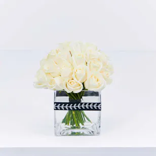 White Elegance White Elegance