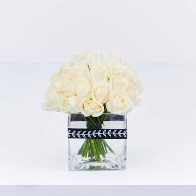 White Elegance White Elegance