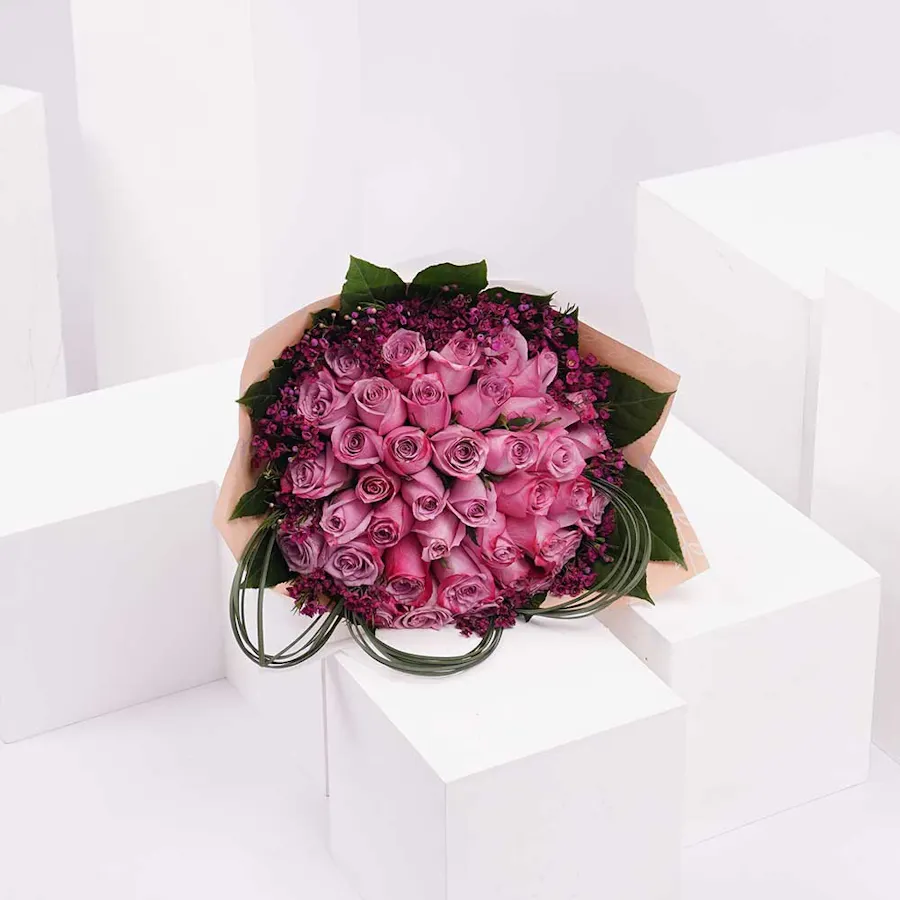 Purple Warmth  3