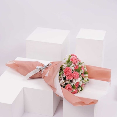Thank You | Pink Carnation & Alstroemeria