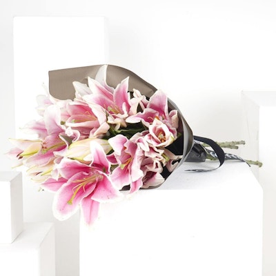 The Lily | Black Wrap