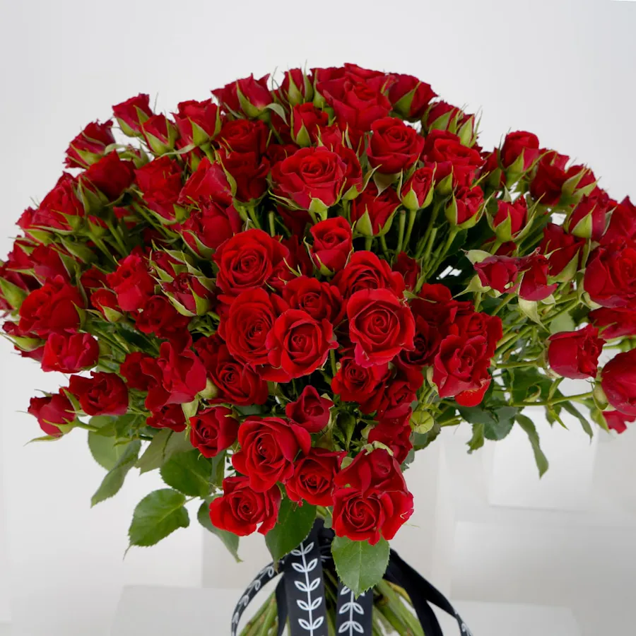 50 Red Baby Roses | Bouquet 3