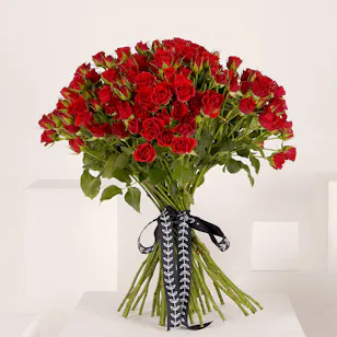 50 Red Baby Roses | Bouquet 50 Red Baby Roses | Bouquet