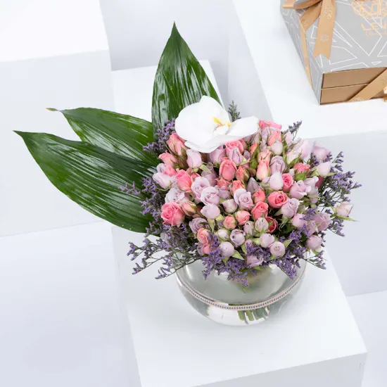 Levo Chocolate with Little Garden
