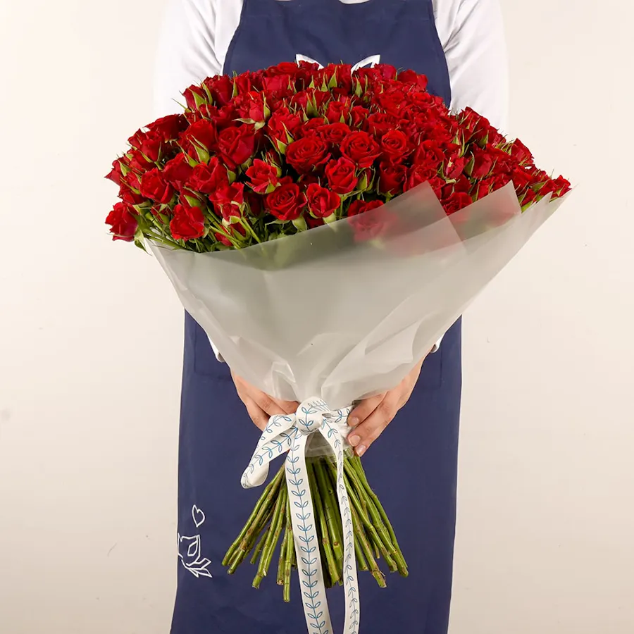 70 Baby Red Roses | White Wrap 1