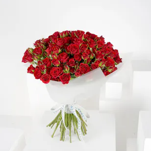 70 Baby Red Roses | White Wrap