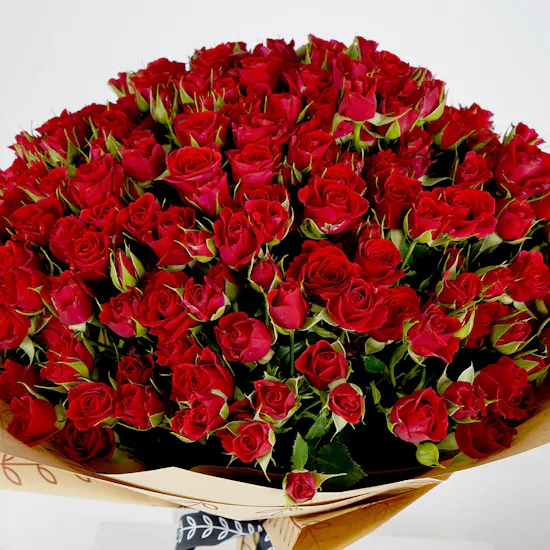 70 Red Baby Roses Hand Bouquet V