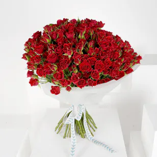 100 Baby Roses | White Wrap 100 Baby Roses | White Wrap