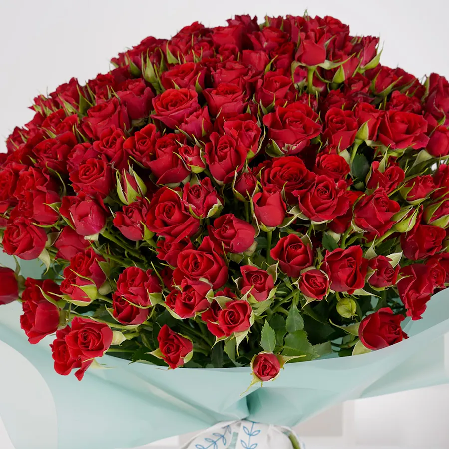 100 Baby Red Roses | Green Wrap 2