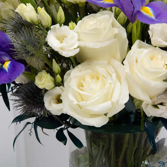 Nature Breeze | Glass Vase
