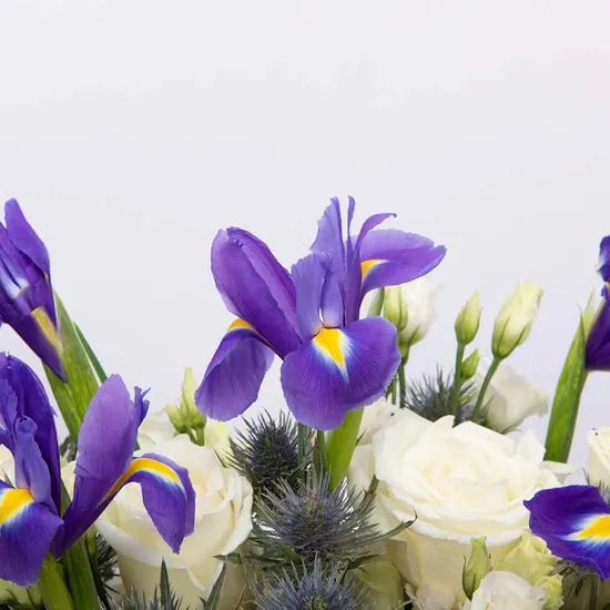 Nature Breeze | Glass Vase