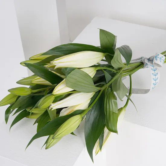 6 White Lilies Bouquet IV