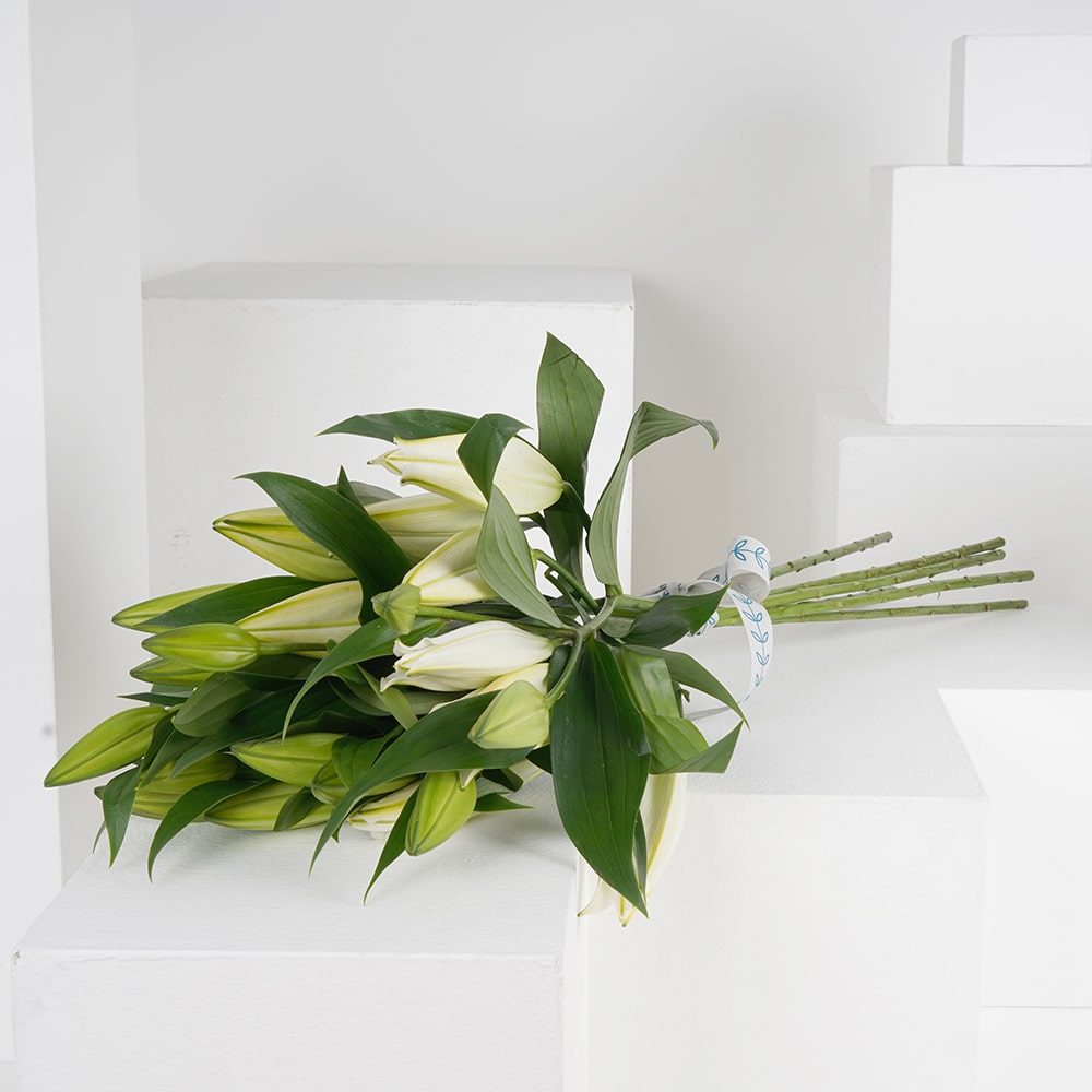  باقة 6 ليلي بيضاء  IV