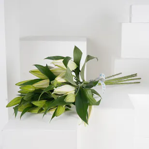 6 White Lilies Bouquet IV 6 White Lilies Bouquet IV