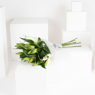 6 White Lilies | White Wrap