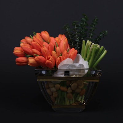 Queen of Tulip