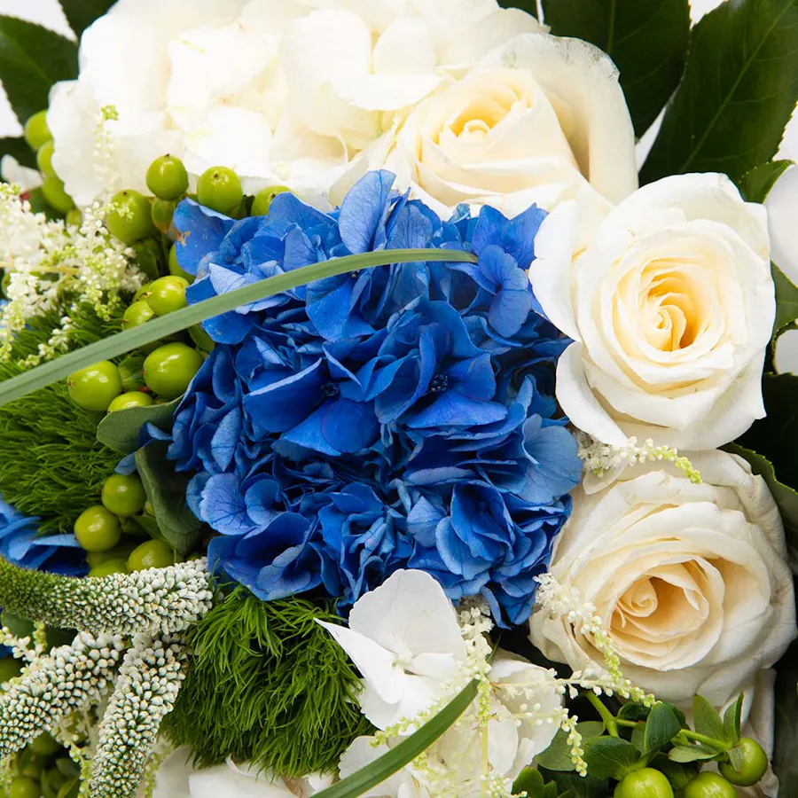 Abucci Chocolate 6 mix Flavors and Flowers 5