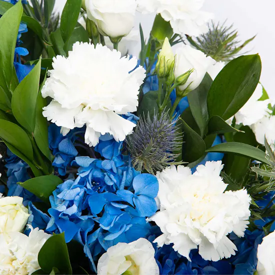 Hydrangea & Carnation | Glass Vase