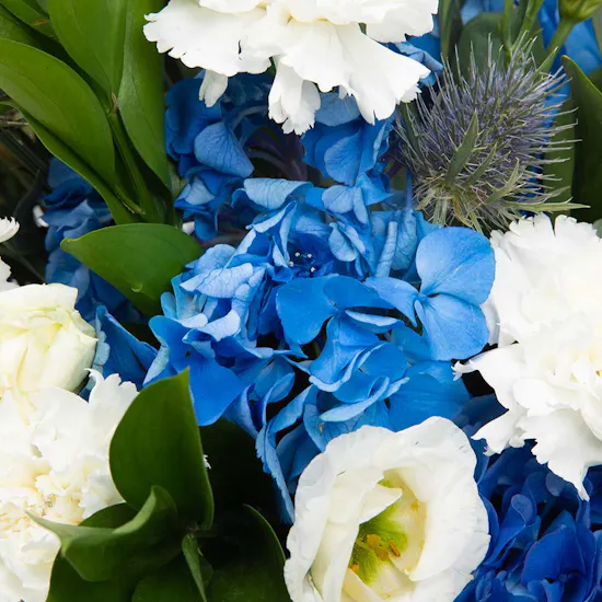 Hydrangea & Carnation | Glass Vase