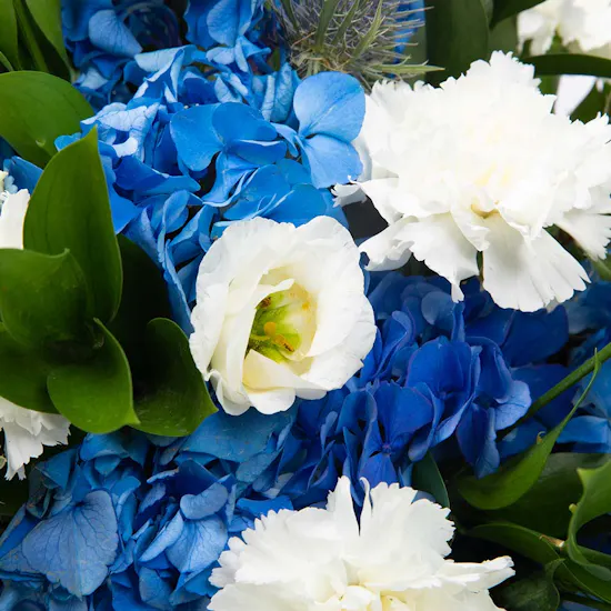 Hydrangea & Carnation | Glass Vase