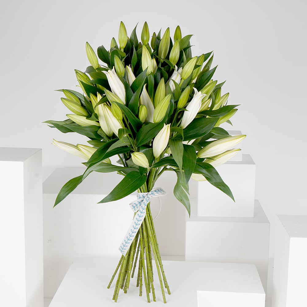 25 White Lilies Bouquet IV