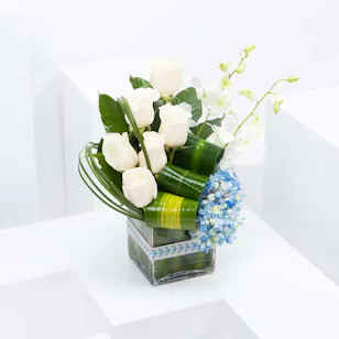blue rose 