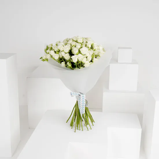 50 White Baby Roses | White Wrap