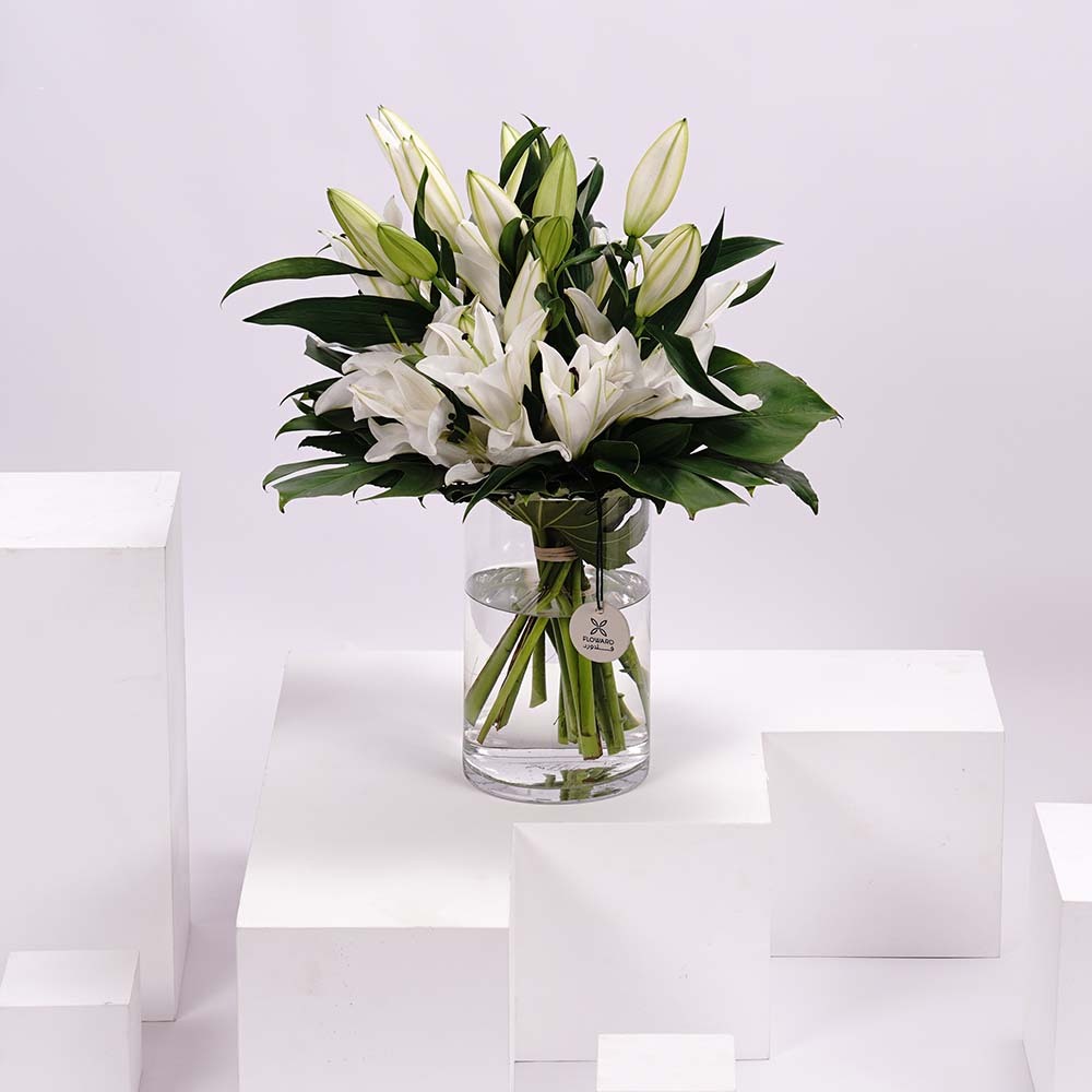 الليليوم البيضاء الباردة