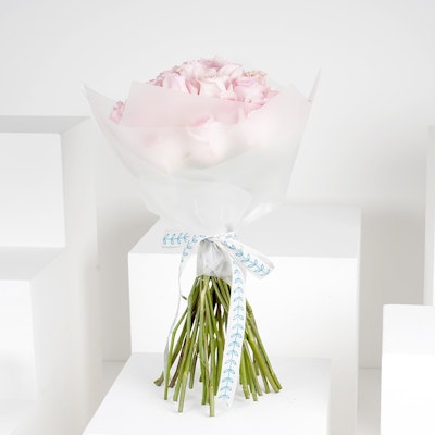 35 Pink Roses | White Wrap