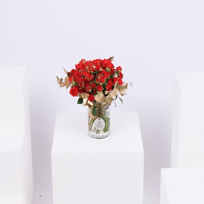 Baby Rose | Red | Cylinder Vase