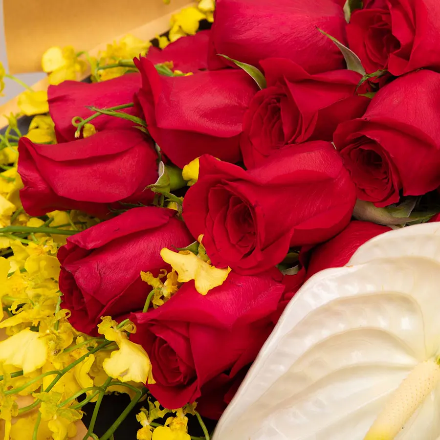 Roses and Levo  2