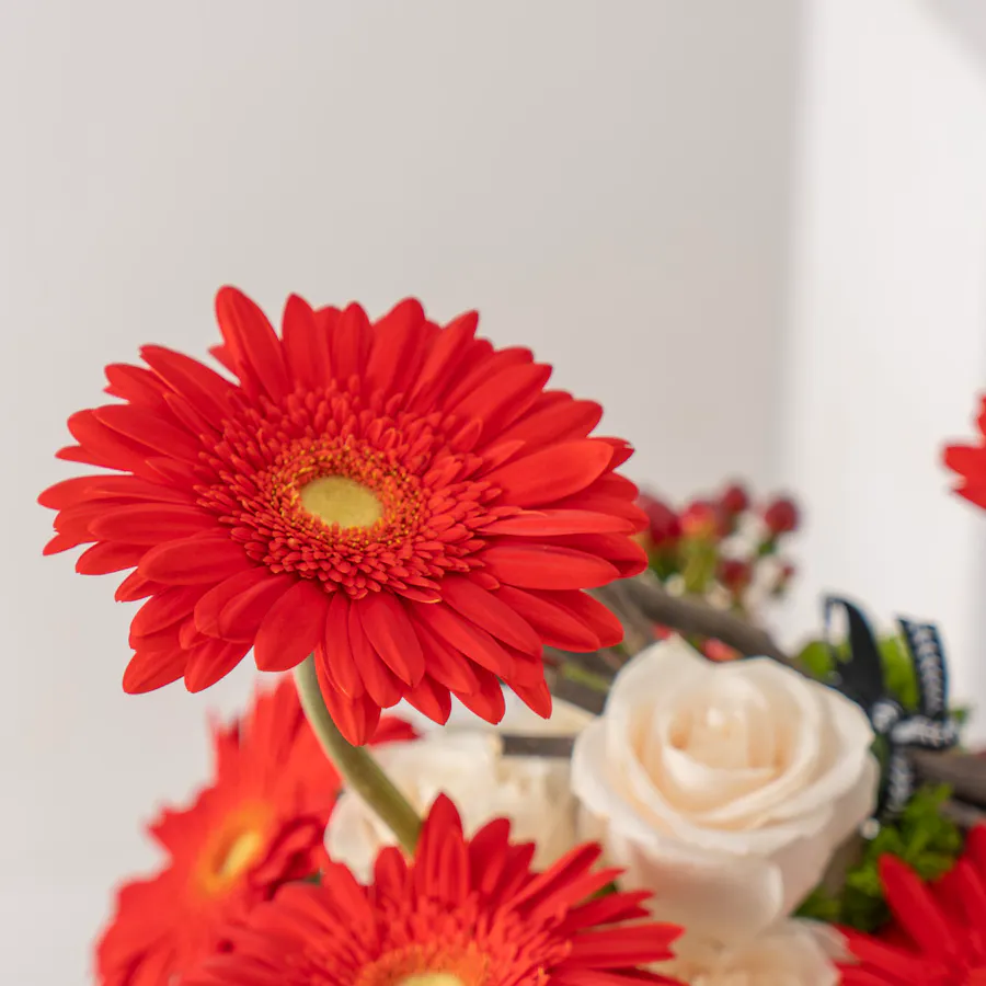 Red Gerbera | Festive Vase 4