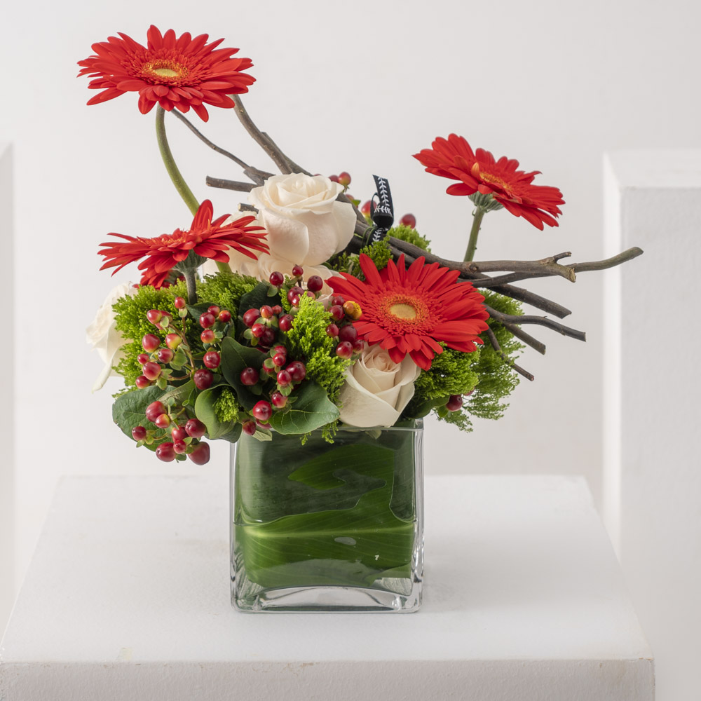 Red Gerbera | Festive Vase