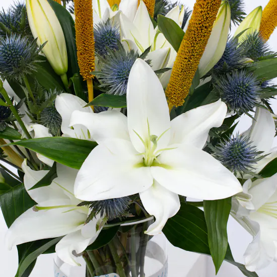 Babala with Lily | Cylinder Vase