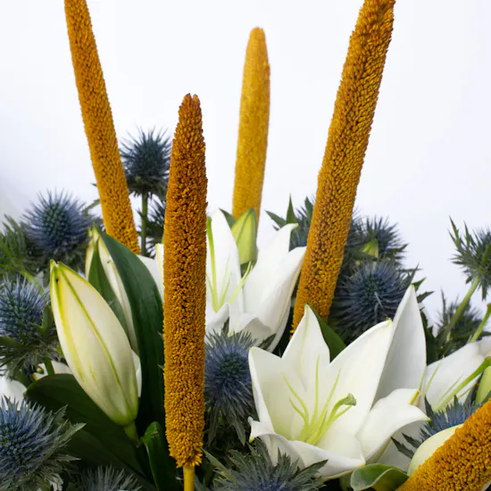 Babala with Lily | Cylinder Vase