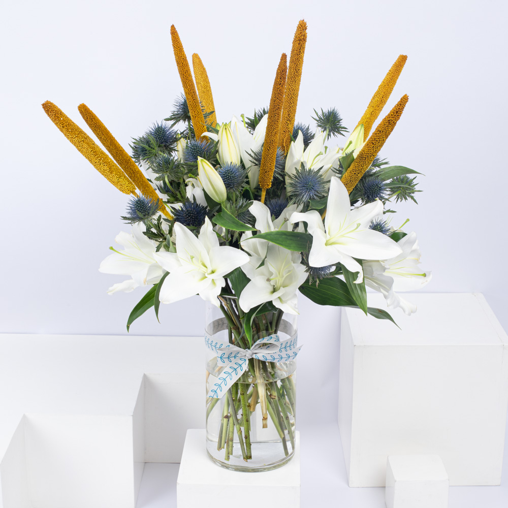 بابالا مع ليليوم | فازة اسطوانية