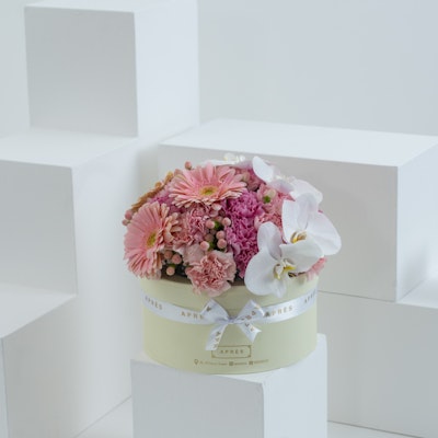 Apres Off White Box