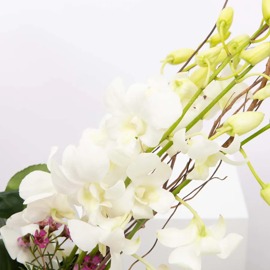 Joy Flowers | Cylinder Vase  5