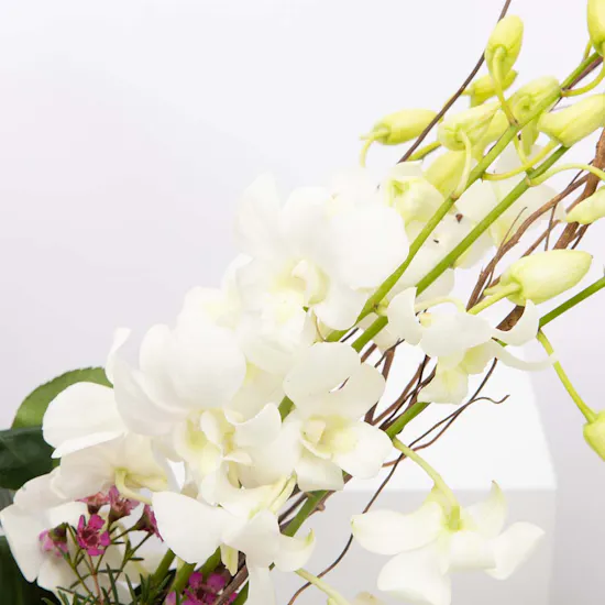 Joy Flowers | Cylinder Vase