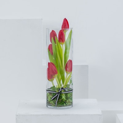 Minimal Tulips