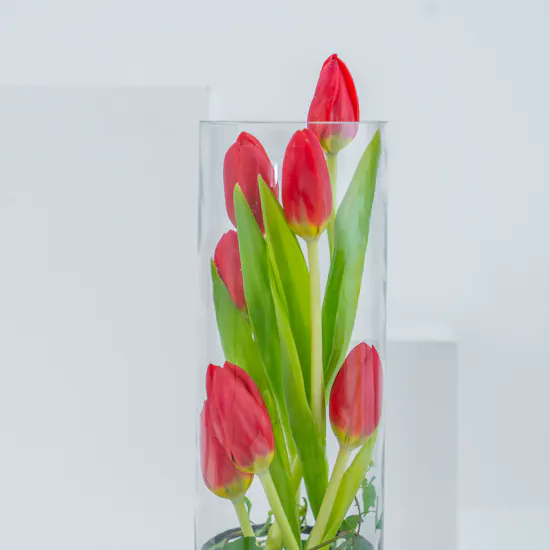 Red Tulips | Cylinder Vase