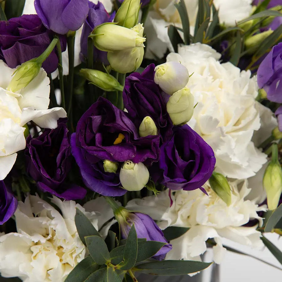 White Carnation & Purple Eustoma | Vase 5