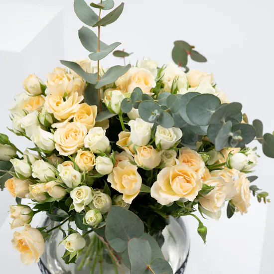 Baby Roses Elegance